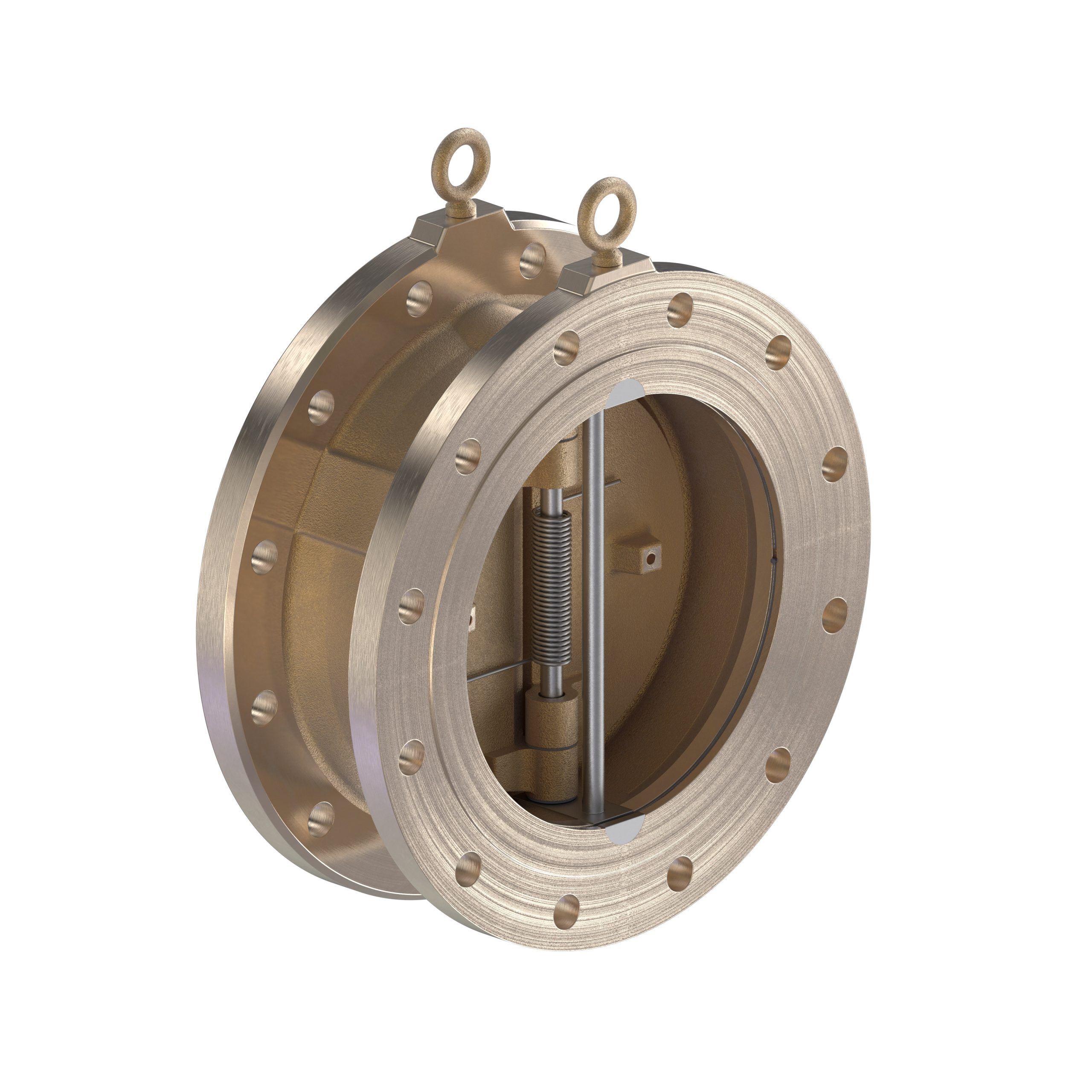 check valve